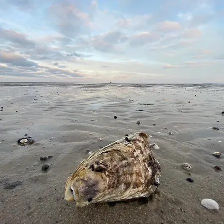 شقة Haus Andreas-dirks-strasse 3 3g فيسترلاند